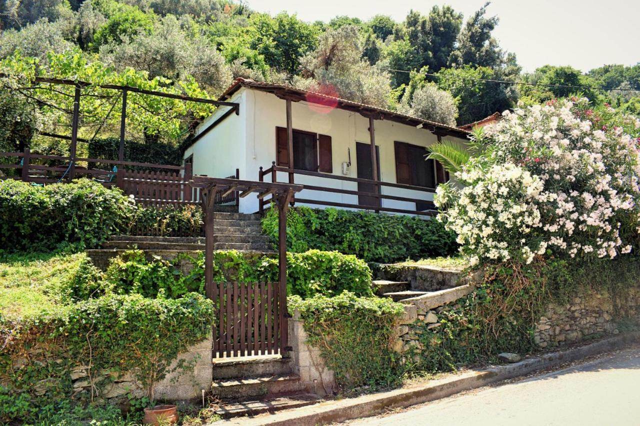 Chorefto Port House Βίλα Ζαγορά Εξωτερικό φωτογραφία